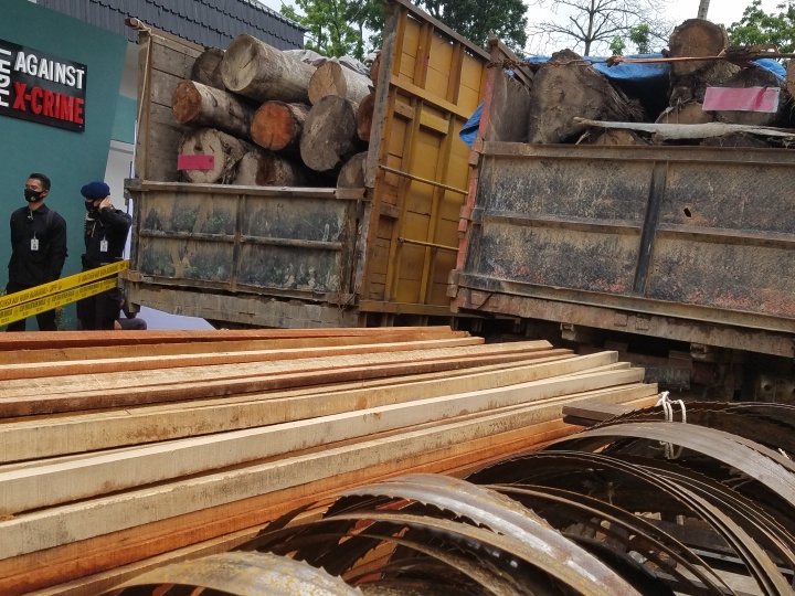 KLHK Hentikan Ilegal Logging di Suaka Margasatwa Rimbang Baling