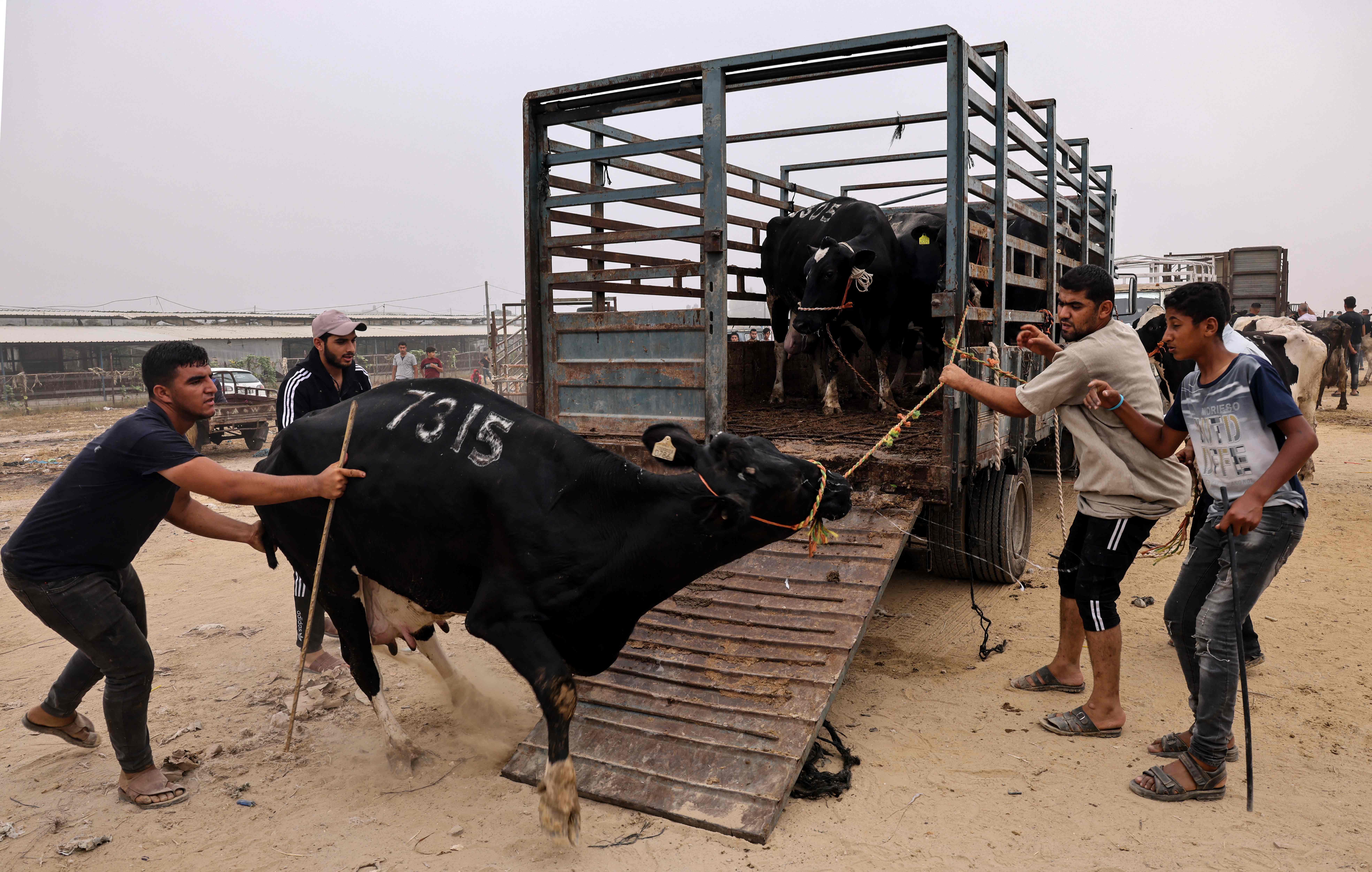 Gaza Sambut Idul Adha 1442 H
