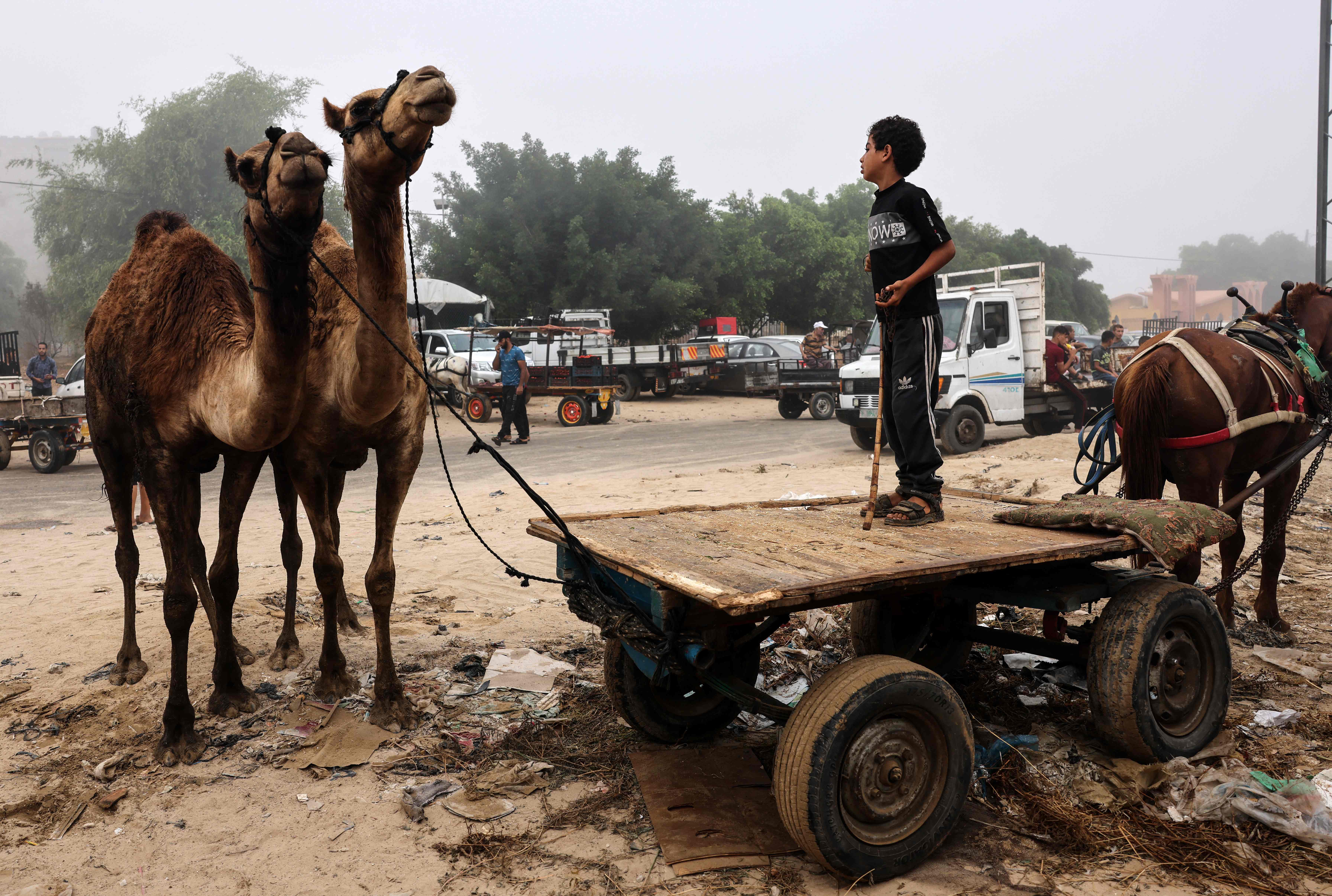 Gaza Sambut Idul Adha 1442 H