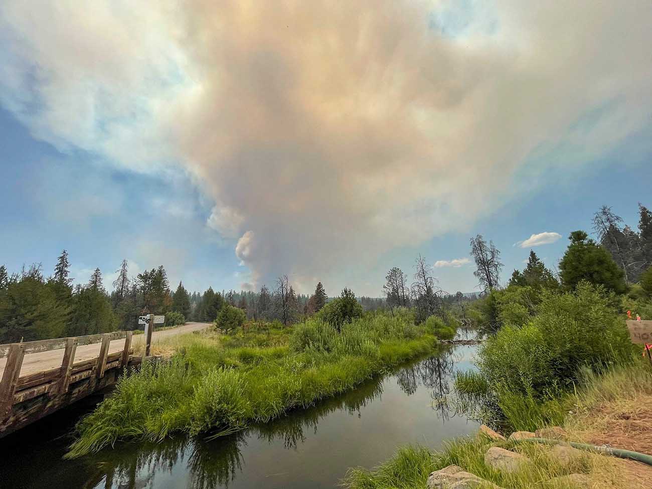 Kebakaran Hutan Hanguskan 300 Ribu Hektar di Oregon