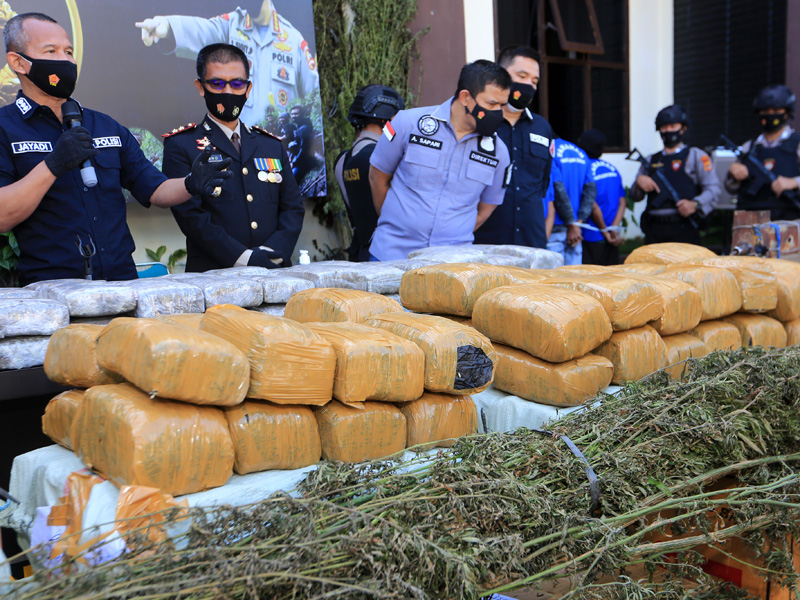 Rilis Pengungkapan Sindikat Ganja Di Aceh Tengah