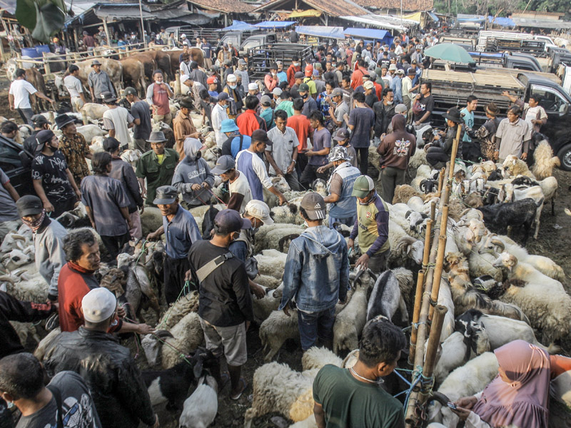 Pasar Hewan Terbesar Di Jabotabek