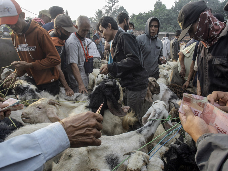 Pasar Hewan Terbesar Di Jabotabek