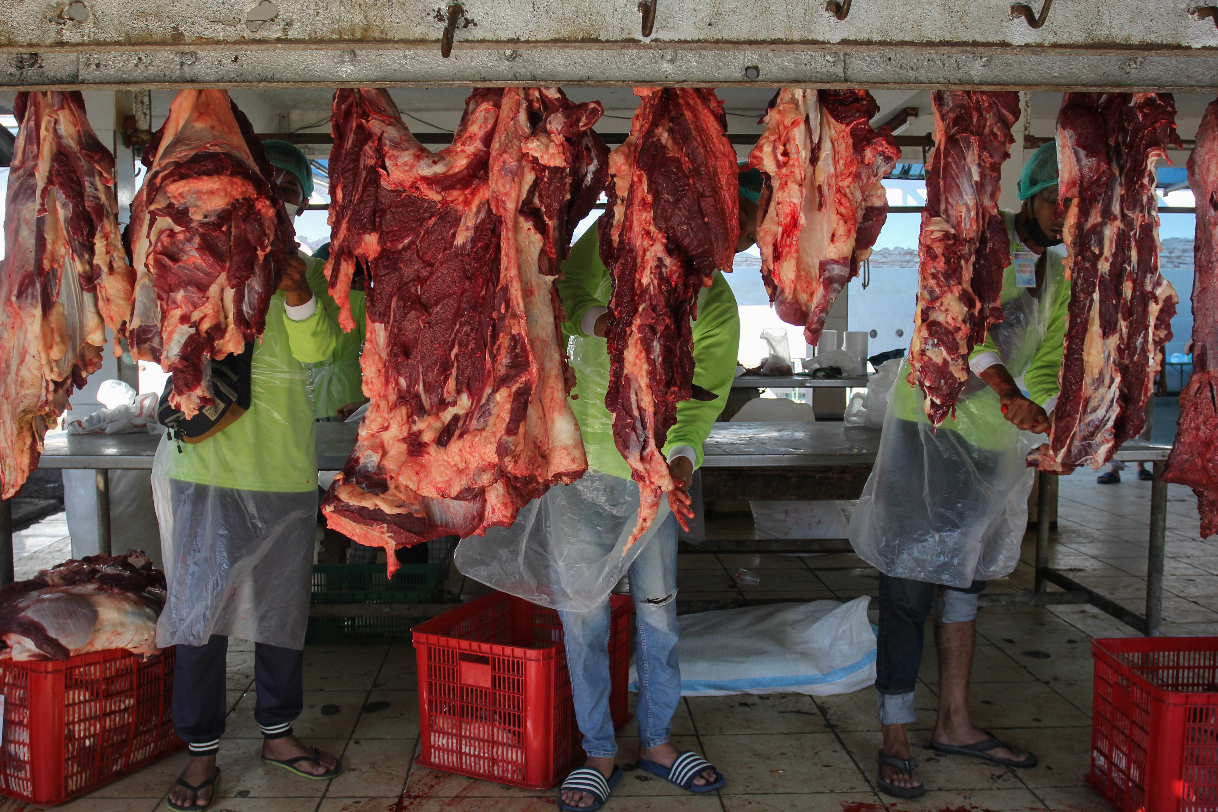 RPH Melayani Pemotongan Hewan Kurban