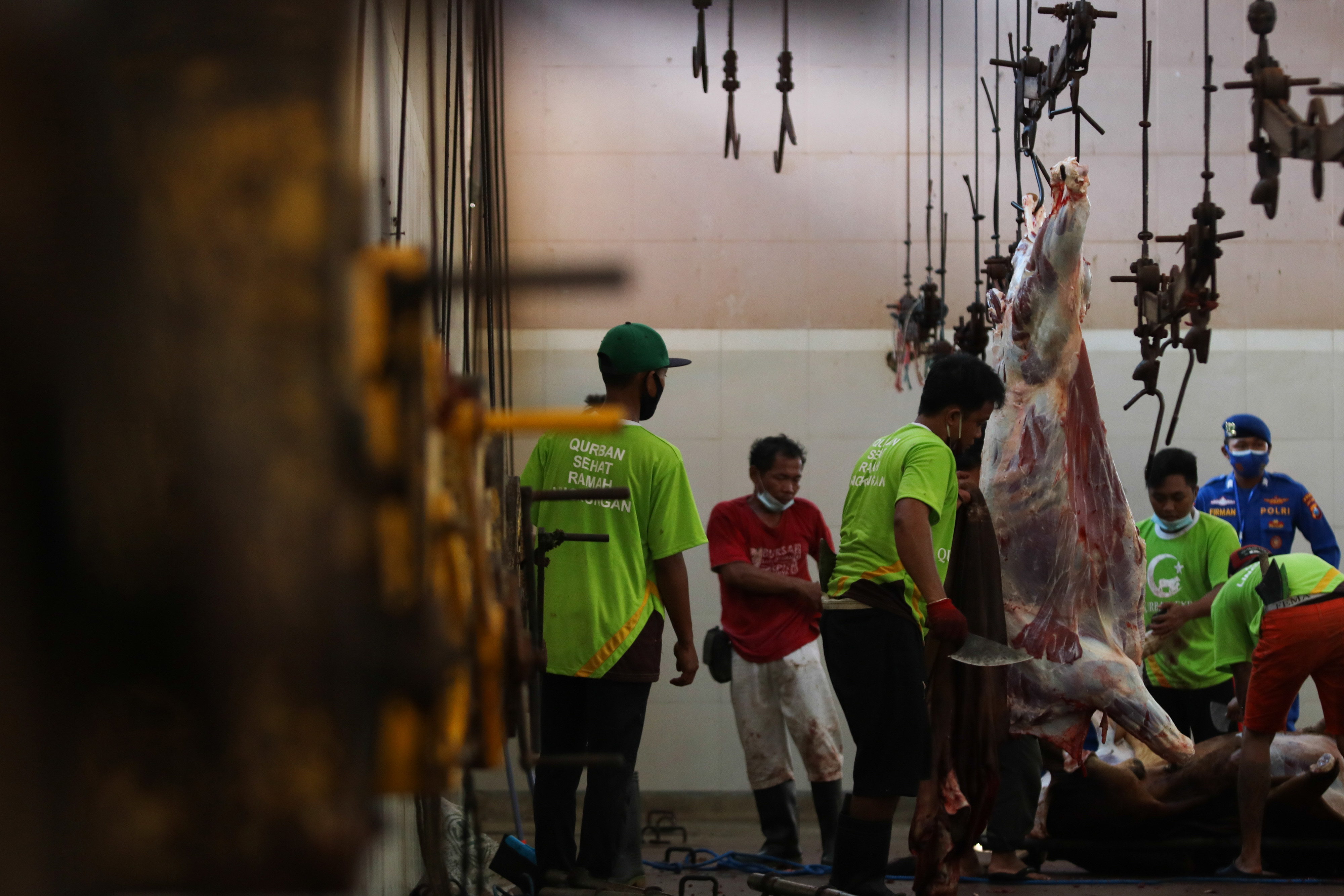 RPH Melayani Pemotongan Hewan Kurban