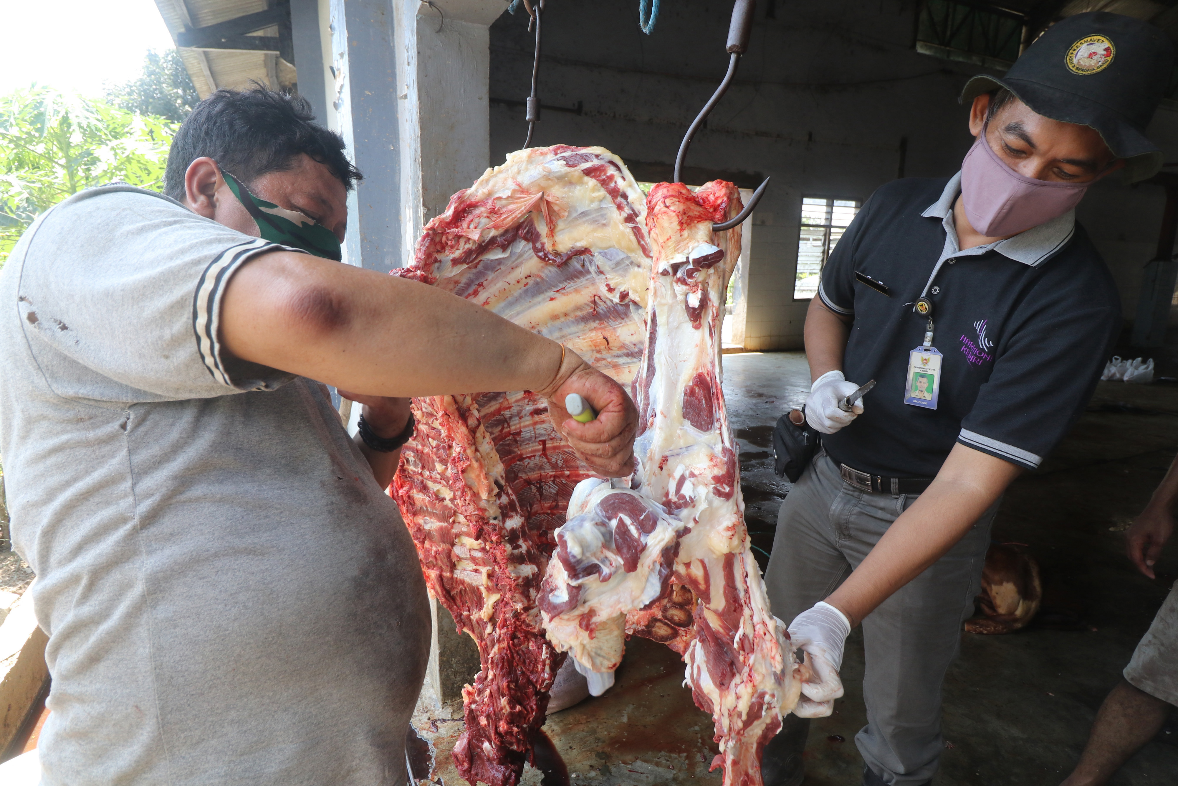 Kelayakan Daging Kurban