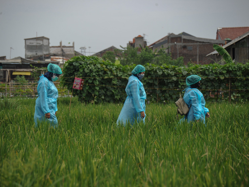 Distribusi Obat Bagi Pasien Isoman Di Bandung