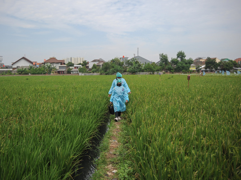 Distribusi Obat Bagi Pasien Isoman Di Bandung