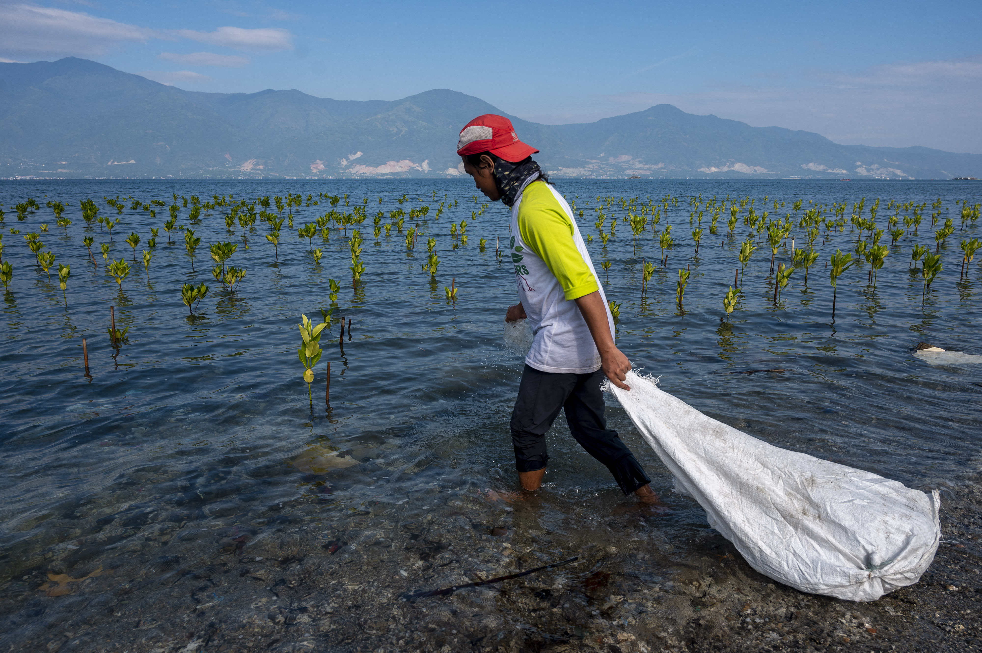 Aksi Pungut Sampah Plastik di Pantai Teluk Palu
