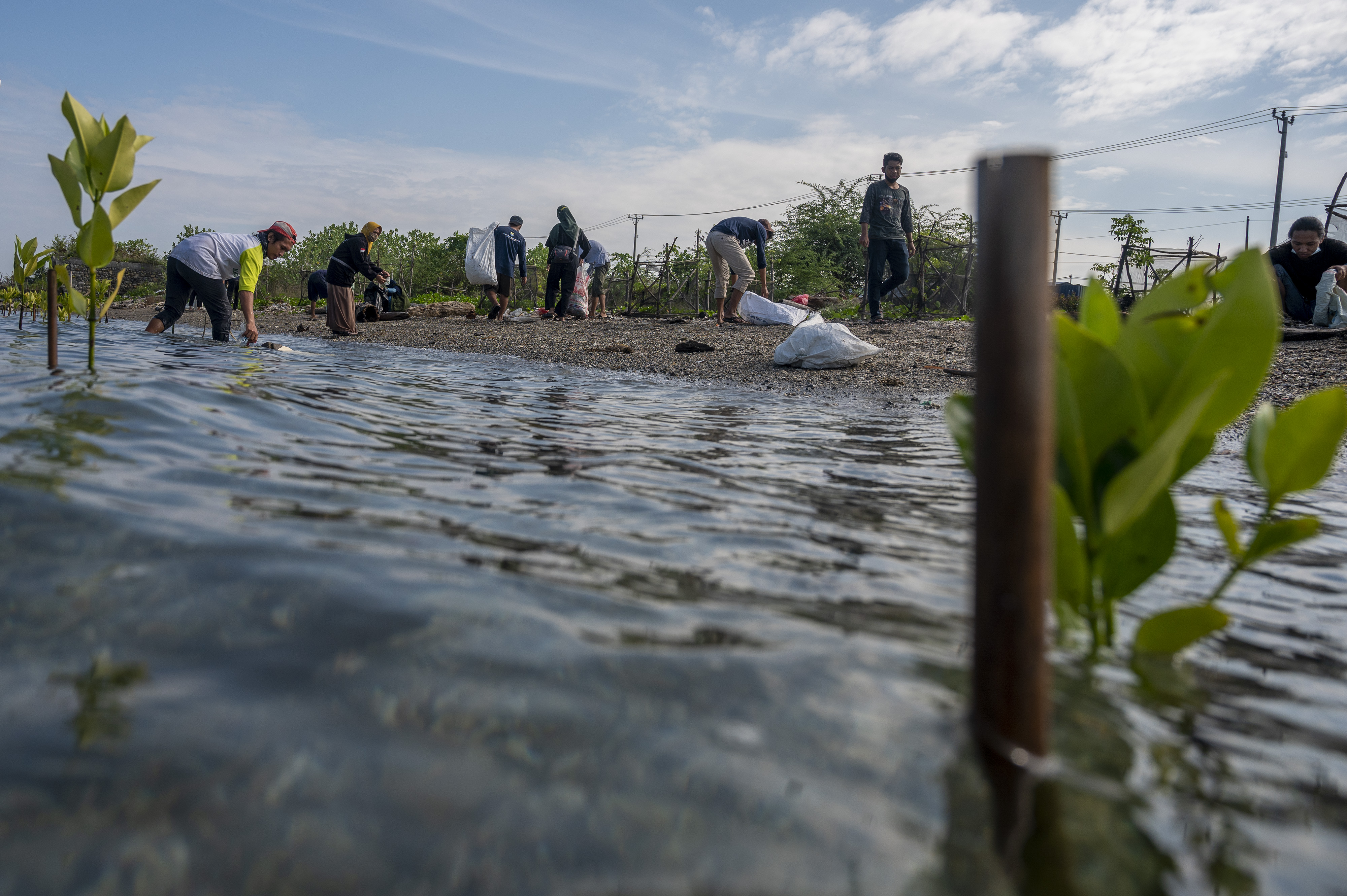 Aksi Pungut Sampah Plastik di Pantai Teluk Palu