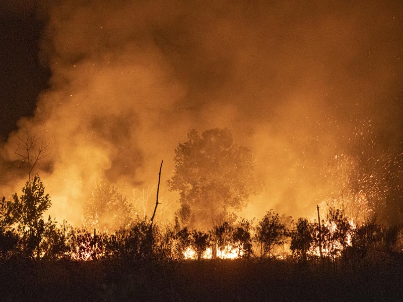 Pemadaman Kebakaran Lahan Di Ogan Ilir