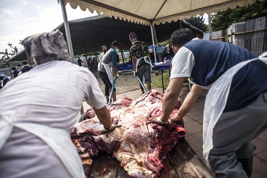 Pemotongan 24 Ekor Sapi Kurban di Masjid At-Tin 