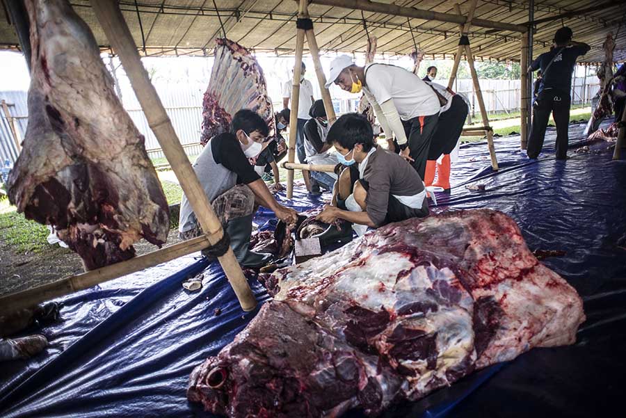 Pemotongan 24 Ekor Sapi Kurban di Masjid At-Tin 