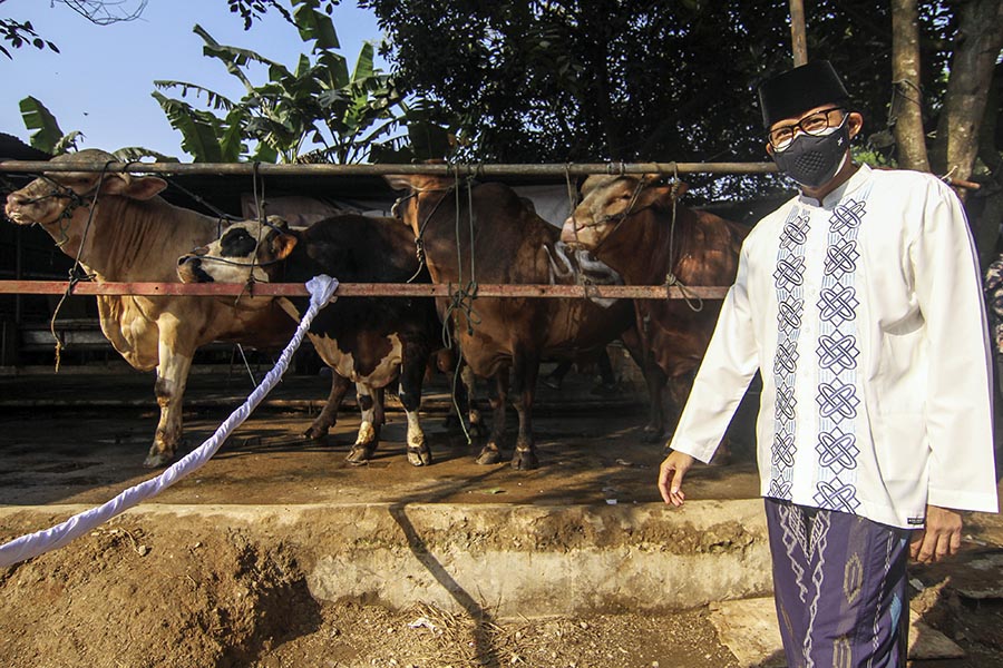Sandiaga Uno Sebar Seribu Hewan Kurban di 17 Provinsi