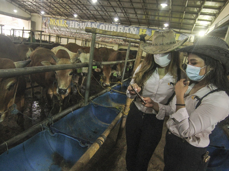 Penjualan Hewan Kurban Menggunakan SPG