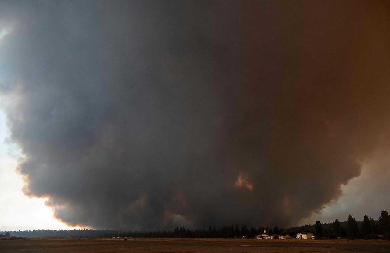 Kebakaran Dixie Lahap 250.000 hektar Lahan