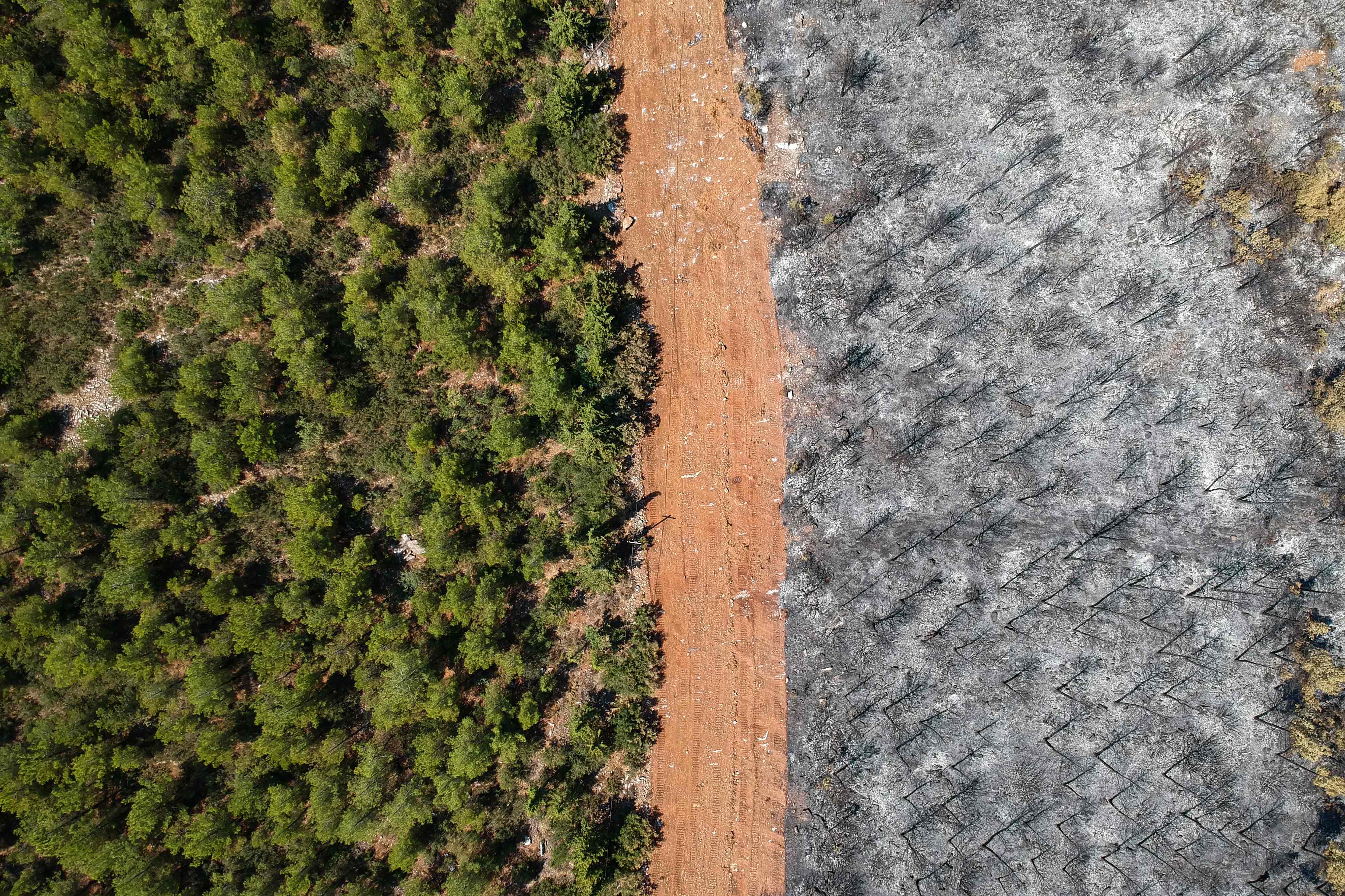 Kebakaran Hutan di Yunani, Ribuan Pemadam Dikerahkan