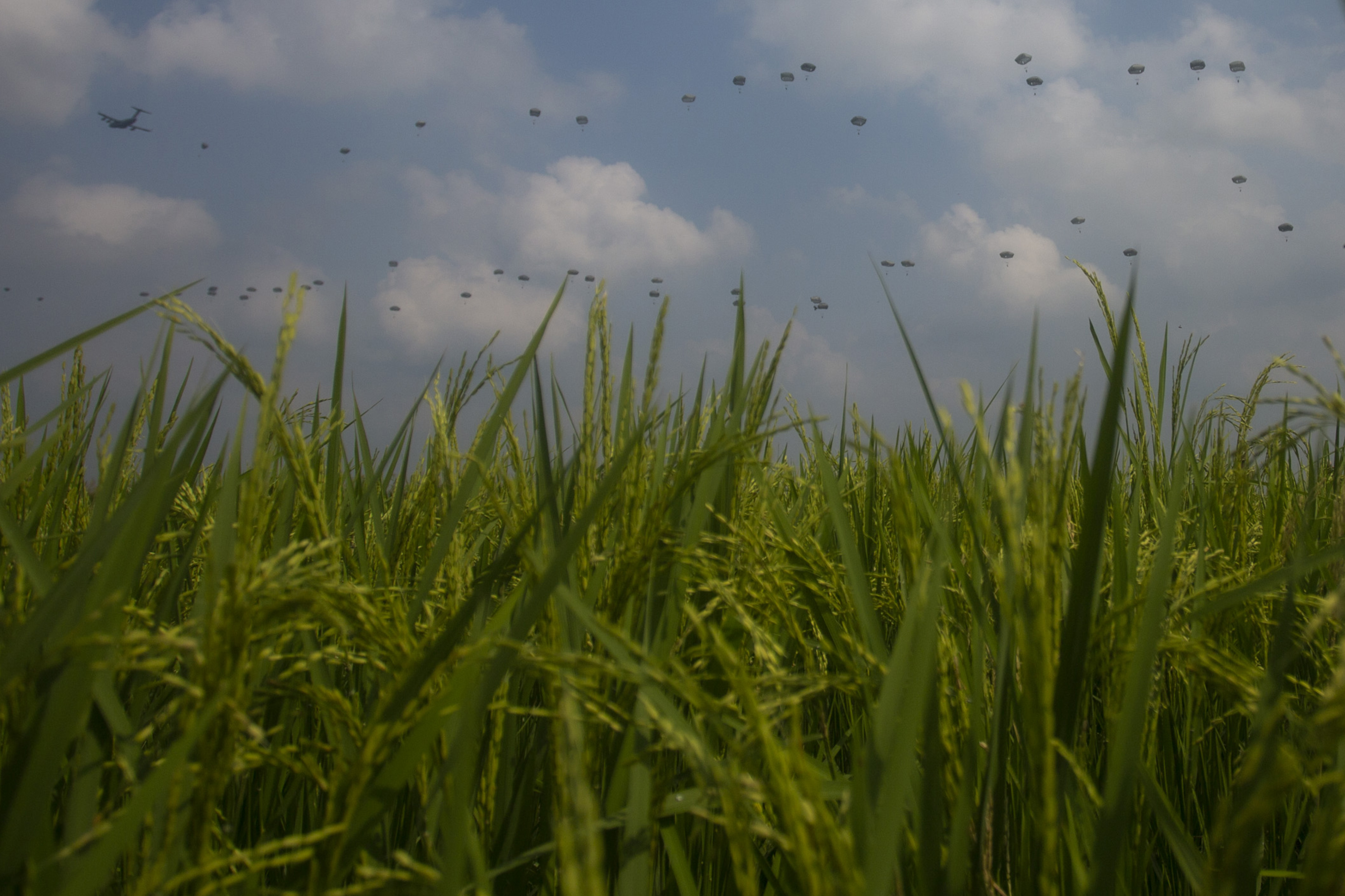 Latihan Terjun Garuda Airbone