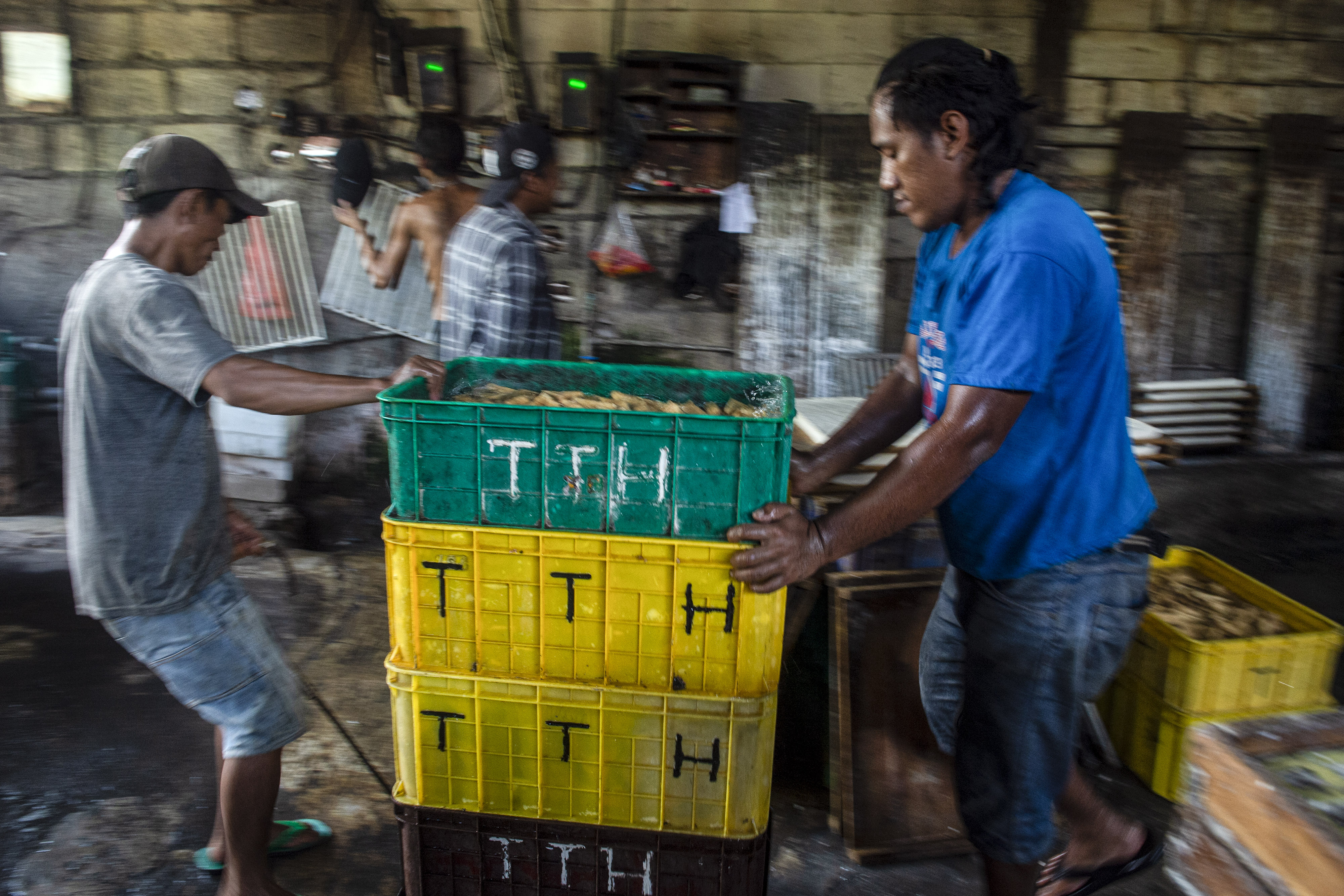 Kemendag Jamin Harga Kedelai Terjangkau