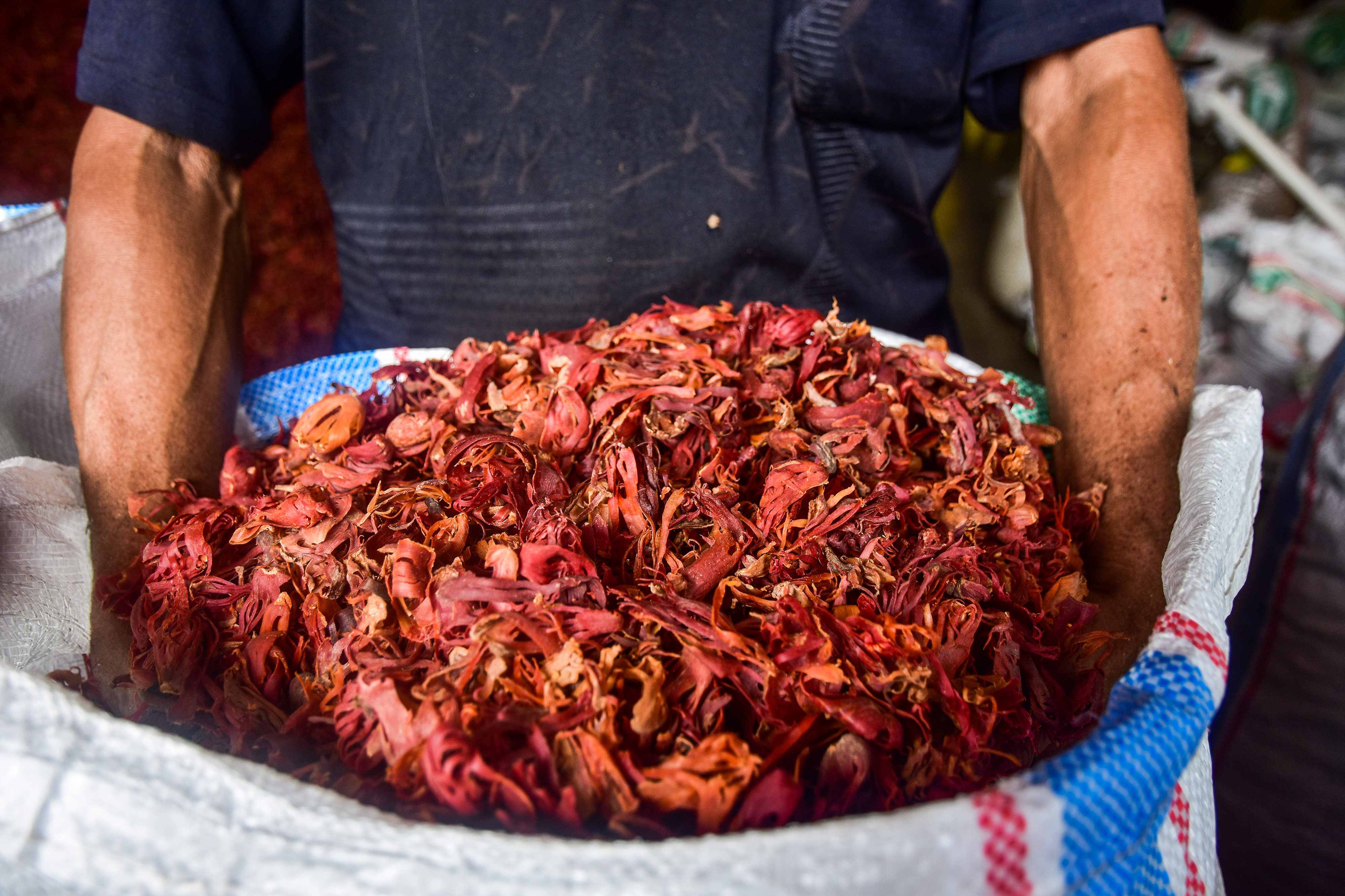 Potensi Rempah-Rempah dari Maluku