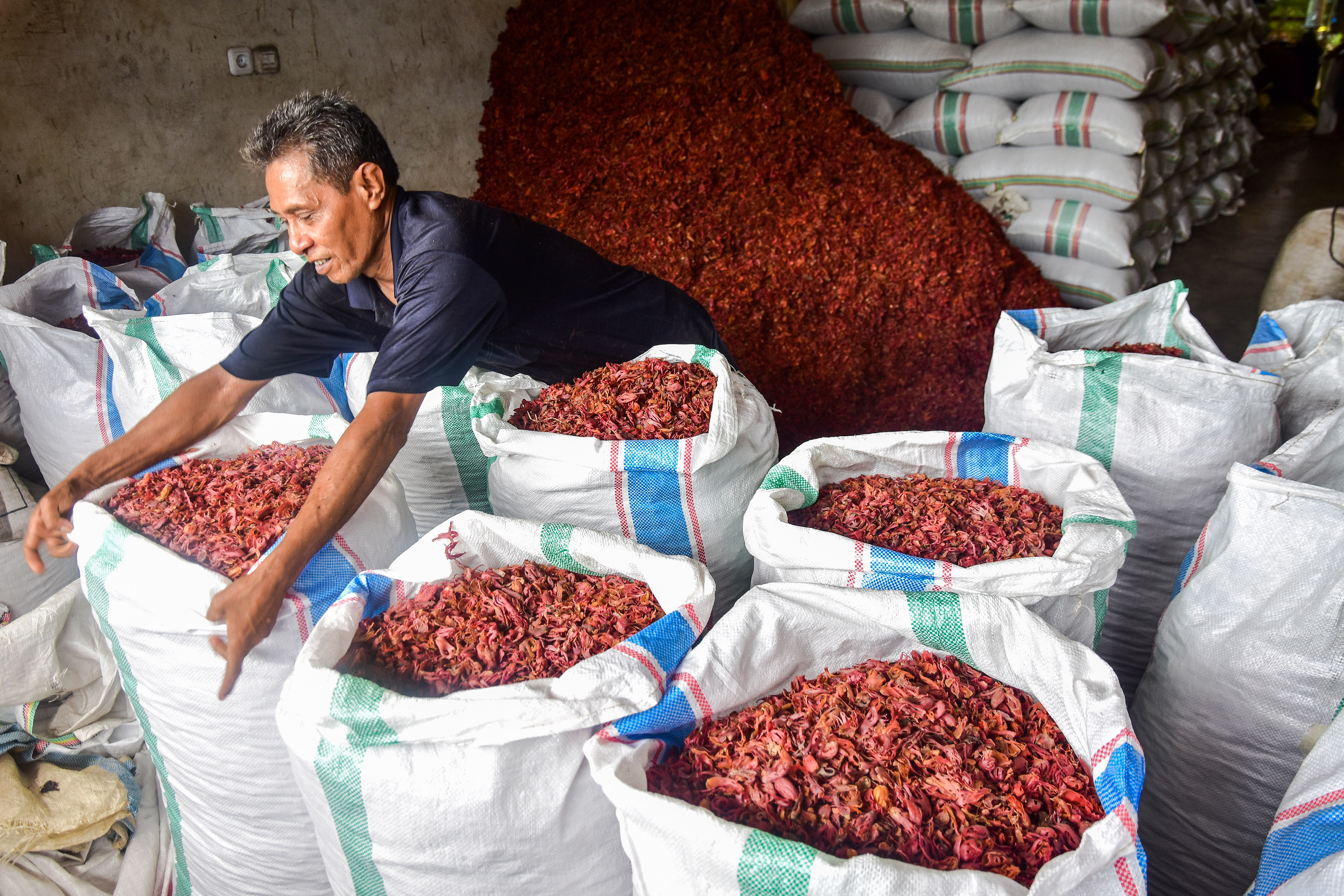 Potensi Rempah-Rempah dari Maluku
