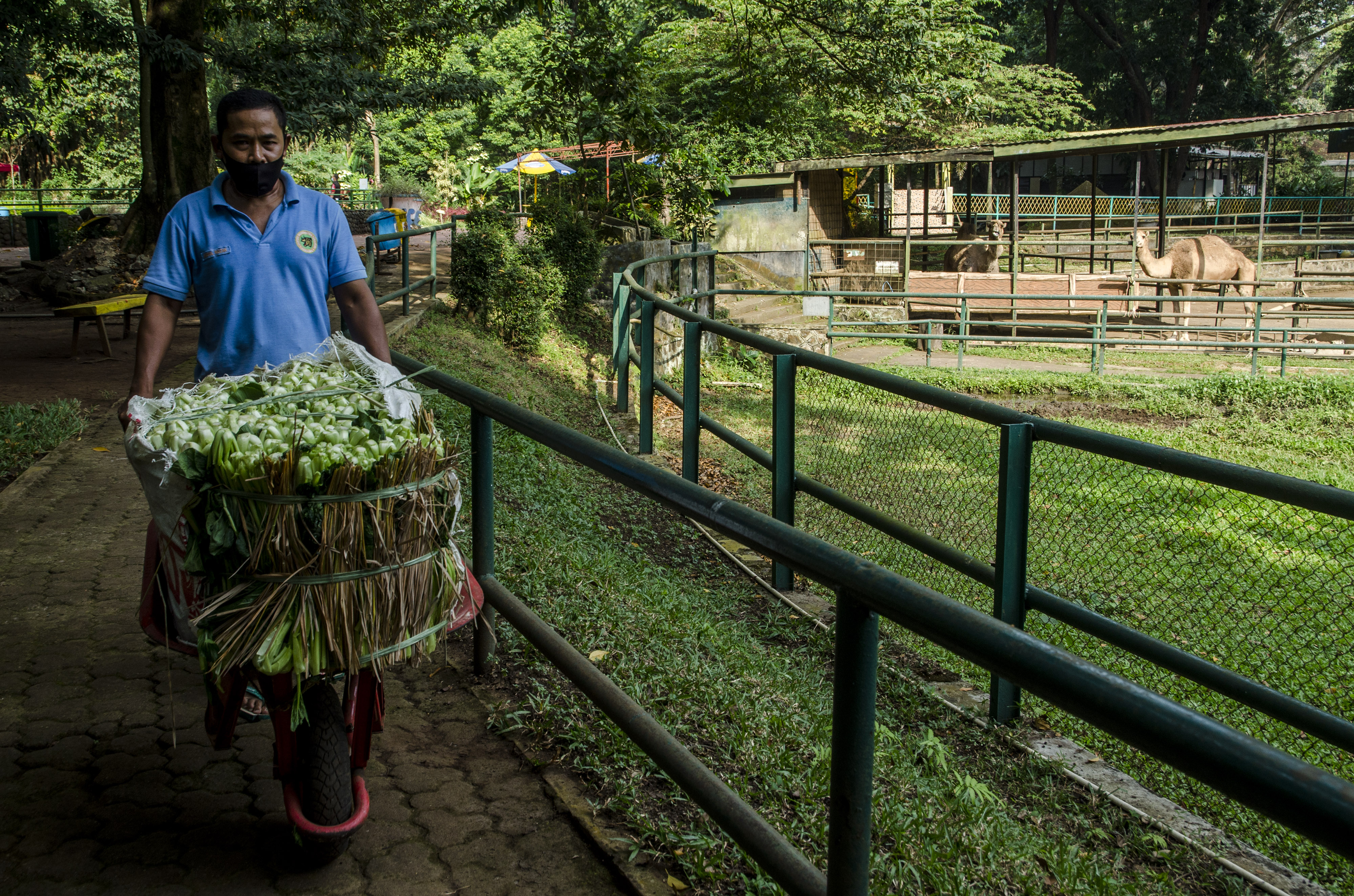 Bantuan Makanan untuk Satwa Kebun Binatang Bandung