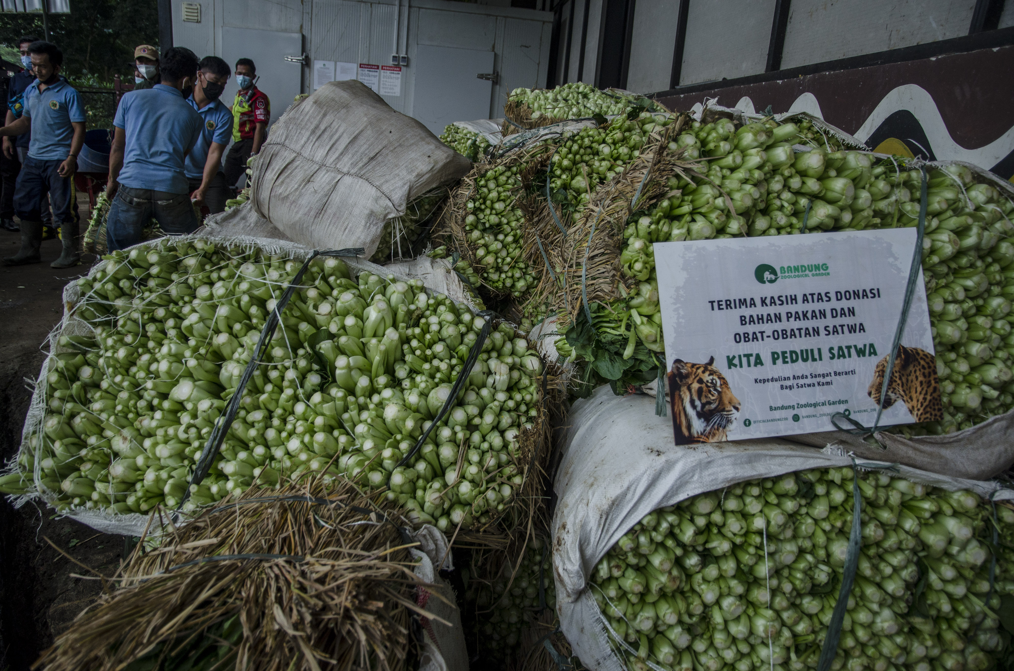 Bantuan Makanan untuk Satwa Kebun Binatang Bandung