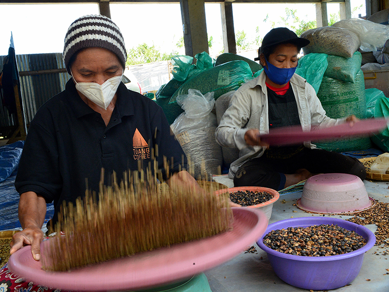 Merdeka Dalam Konektivitas Sektor UMKM