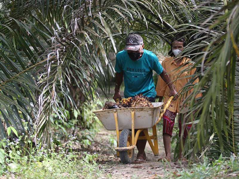 Merdeka Dalam Konektivitas Sektor UMKM