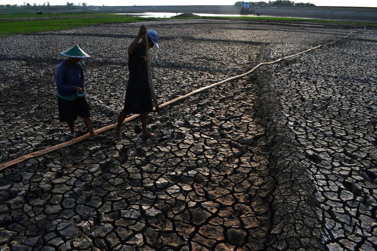 Manfaatkan Waduk Kering Untuk Pertanian