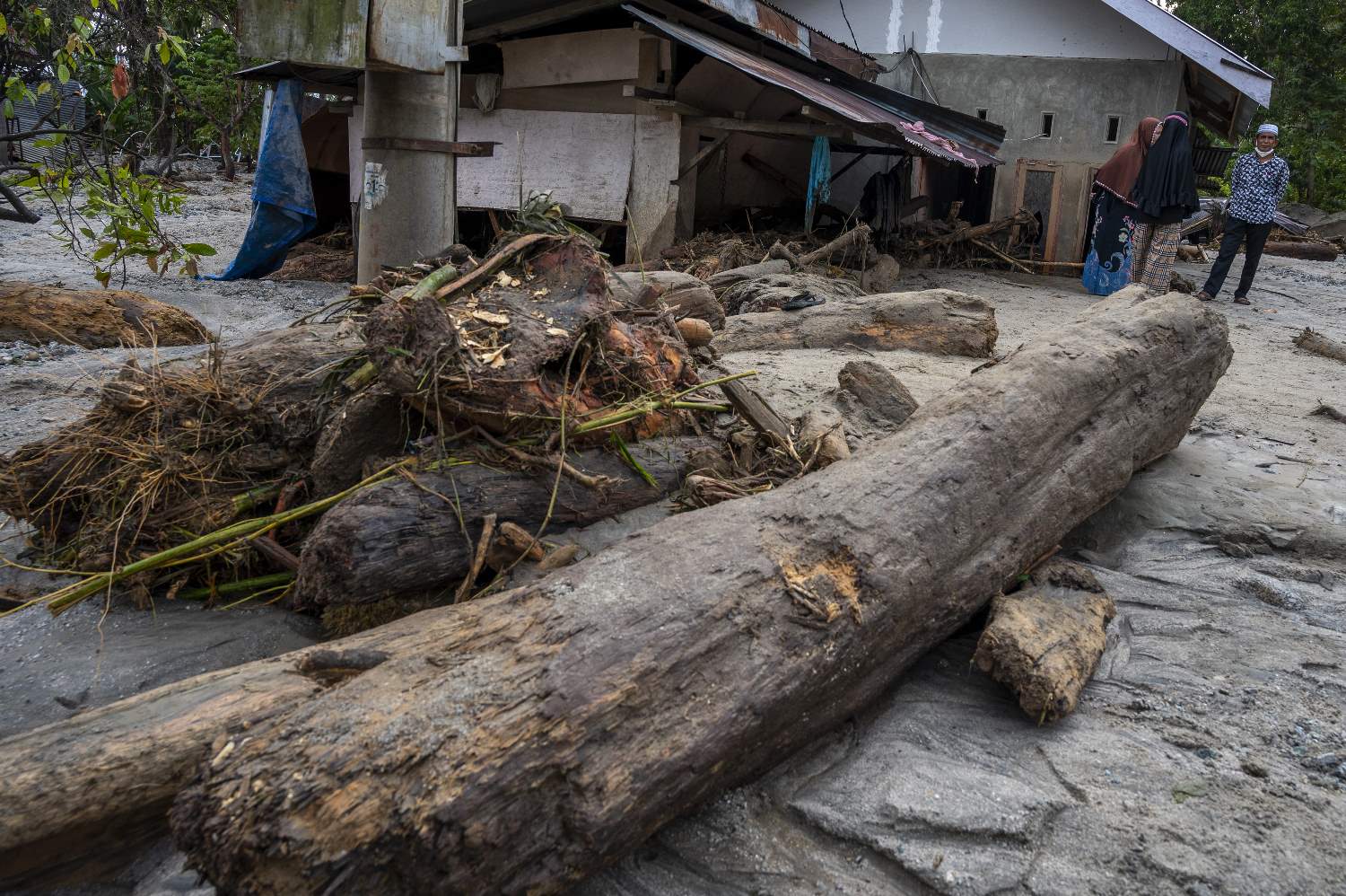 Banjir Bandang di Desa Rogo Sulawesi Tengah