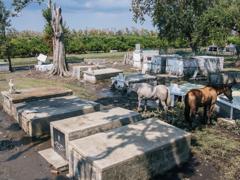Badai Ida Hancurkan Rumah Dan Lsitrik Padam