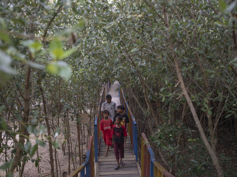Mangrove Karawang Habitat Bangau
