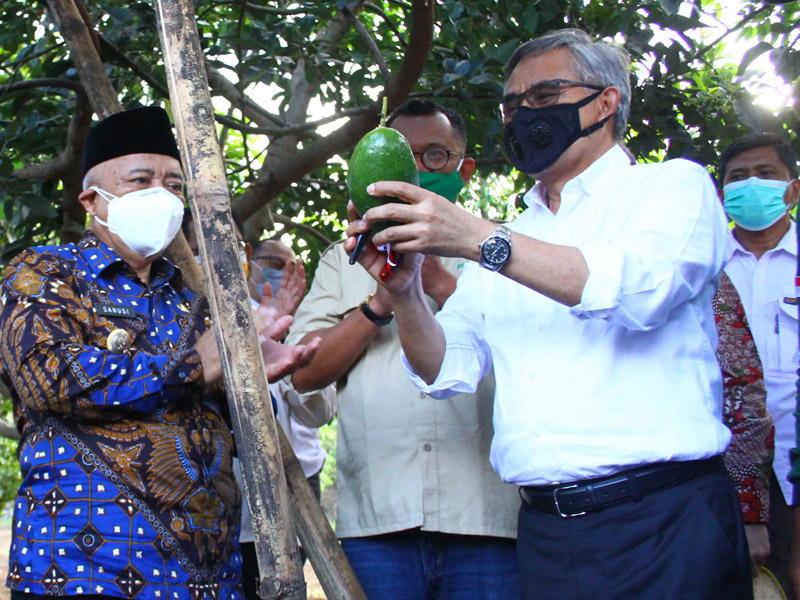 OJK Tingkatkan Akses Pembiayaan KUR Petani