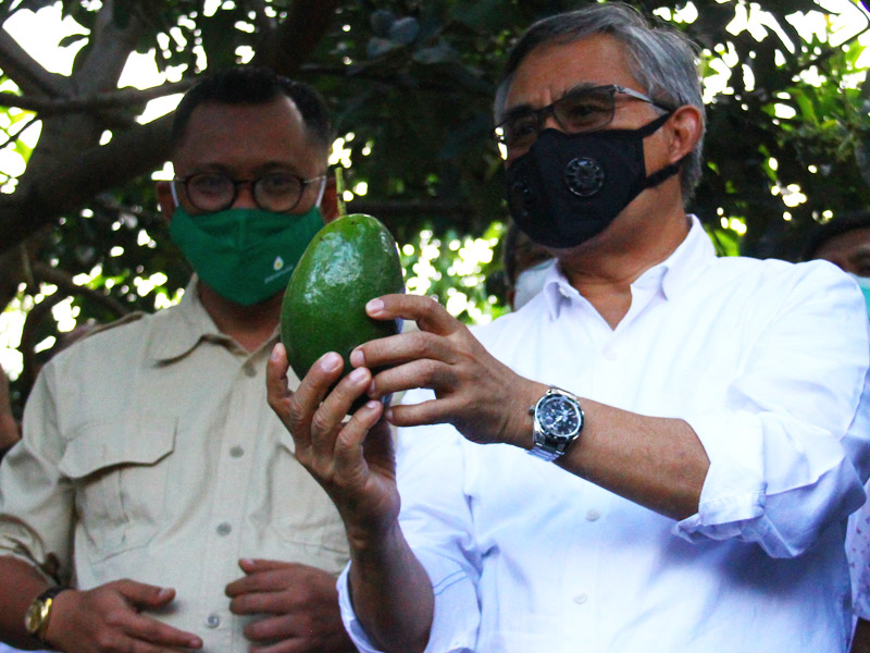 OJK Tingkatkan Akses Pembiayaan KUR Petani