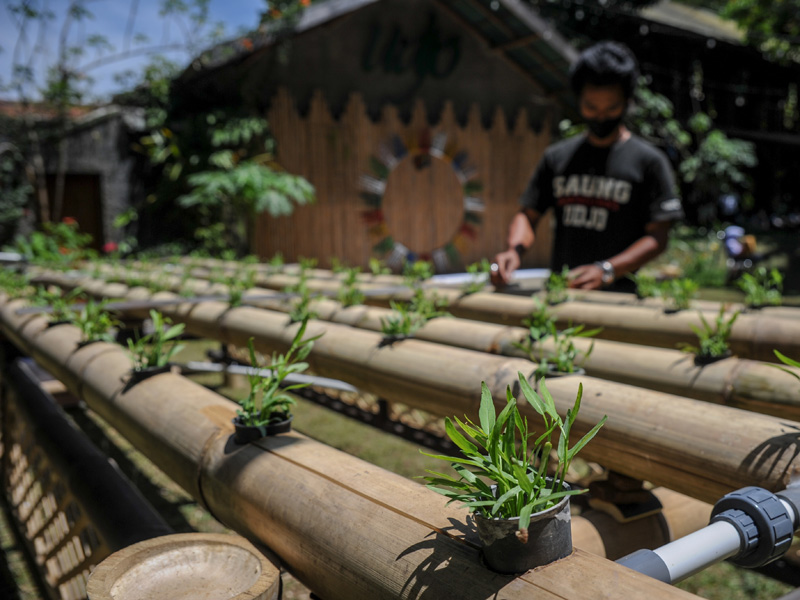 Pencapain Program Buruan Sae Di Bandung
