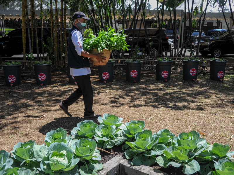 Pencapain Program Buruan Sae Di Bandung