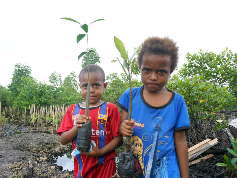 Restorasi Gambut Dan Manggrove Di Papua Barat