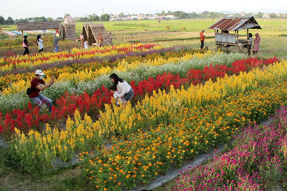 Kunjungan Wisata di Gowa