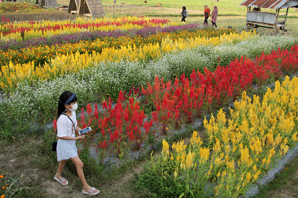 Kunjungan Wisata di Gowa