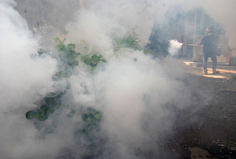 Pencegahan Perkembangbiakan Nyamuk Aedes Aegypti 