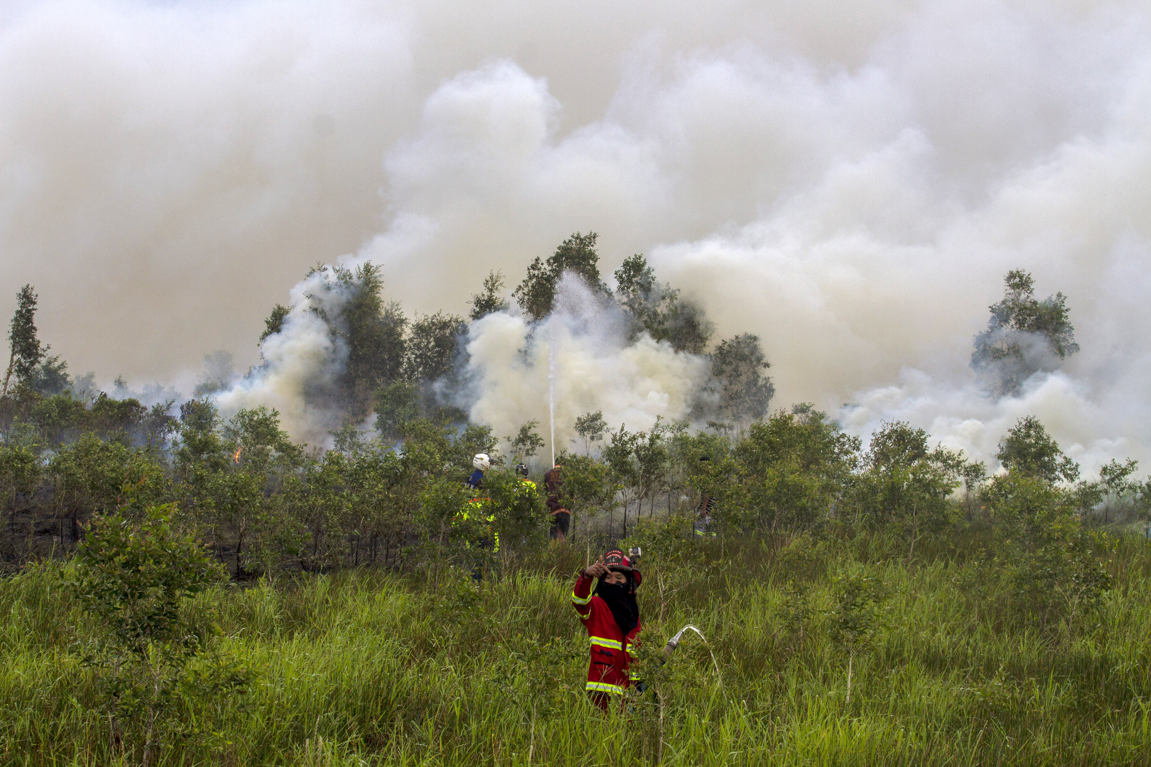 Kebakaran Lahan di Kalsel Mendekati Pemukiman Warga