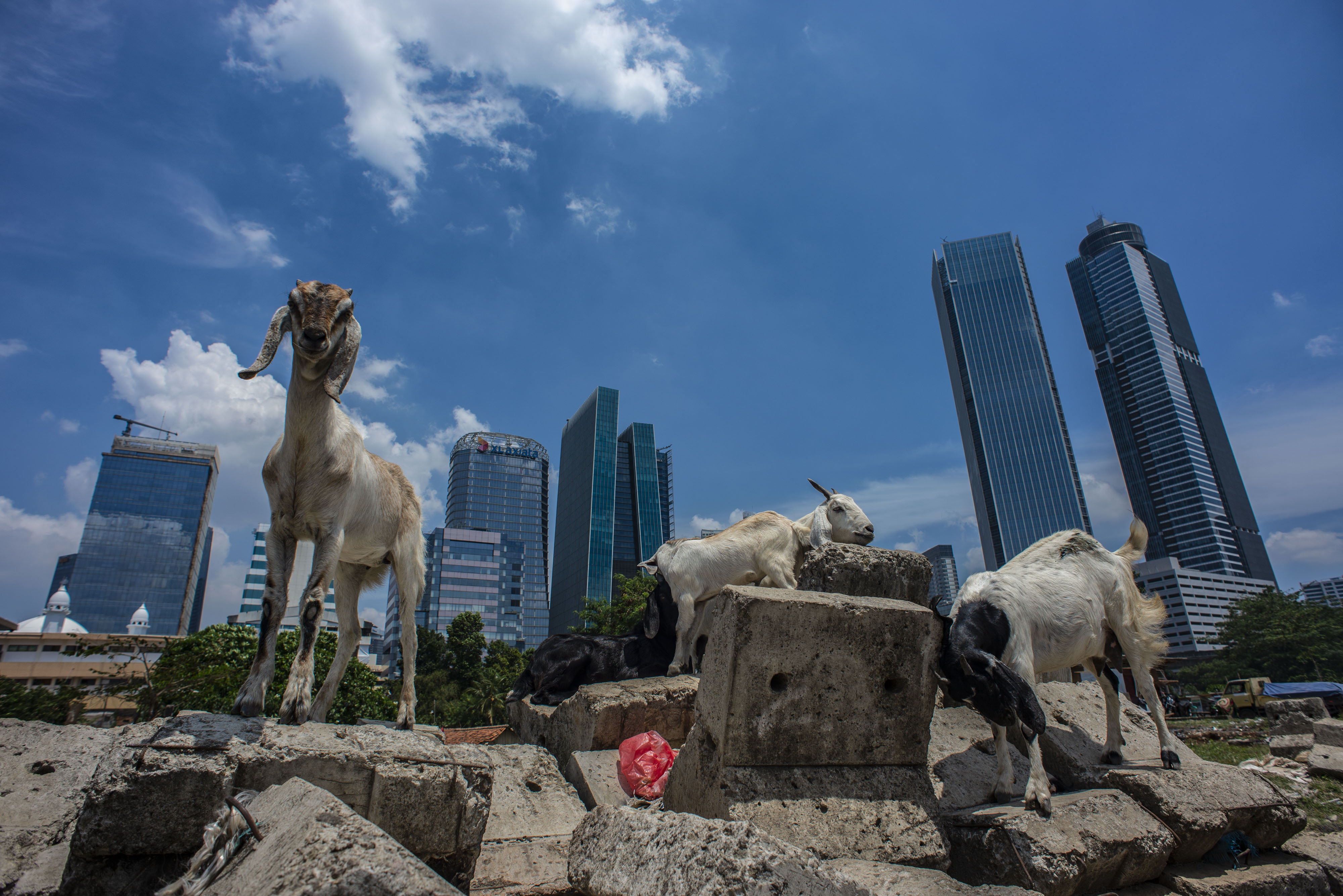 Penyerapan Anggaran PEN 2021