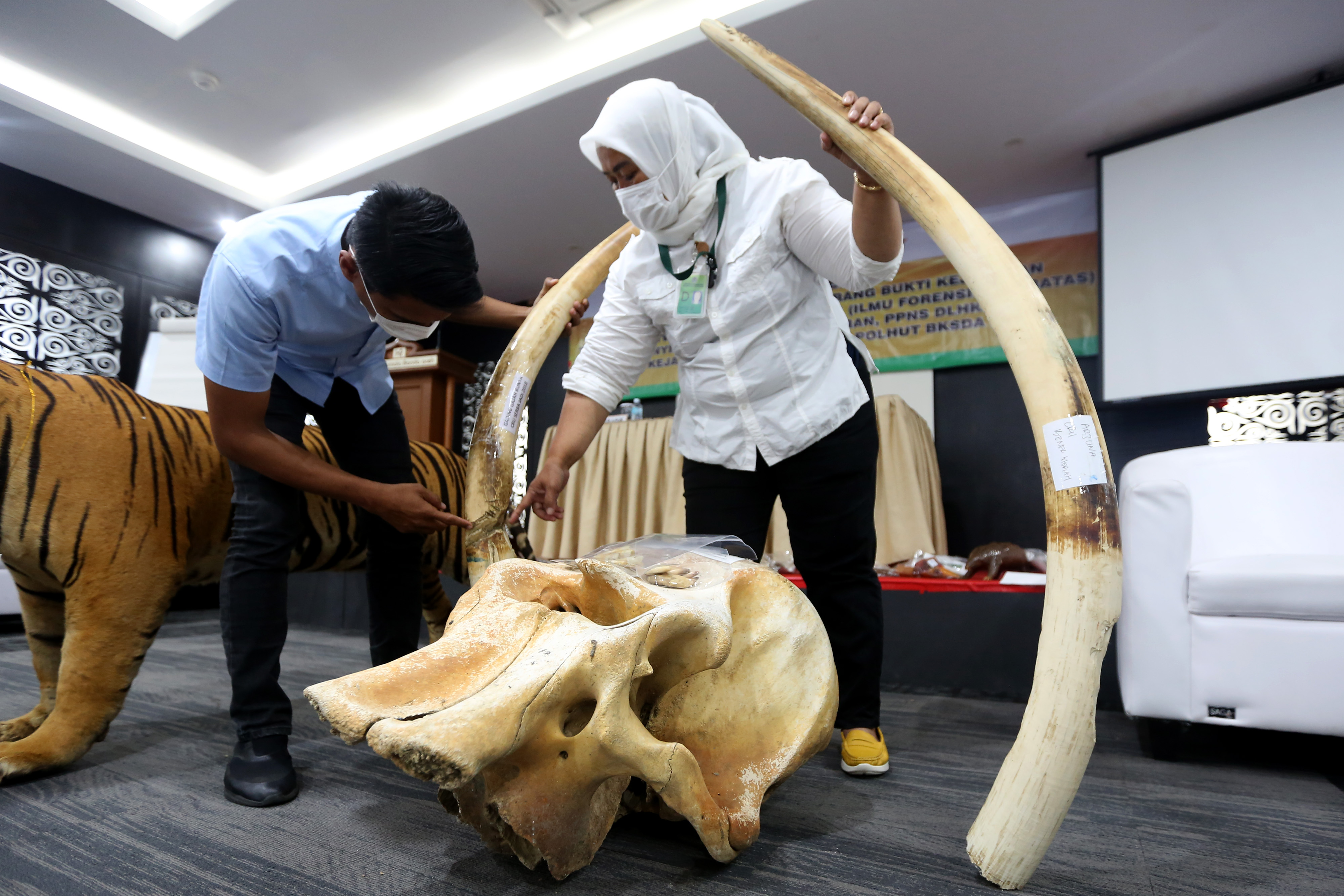 Pelatihan Identifikasi Kejahatan Satwa Liar