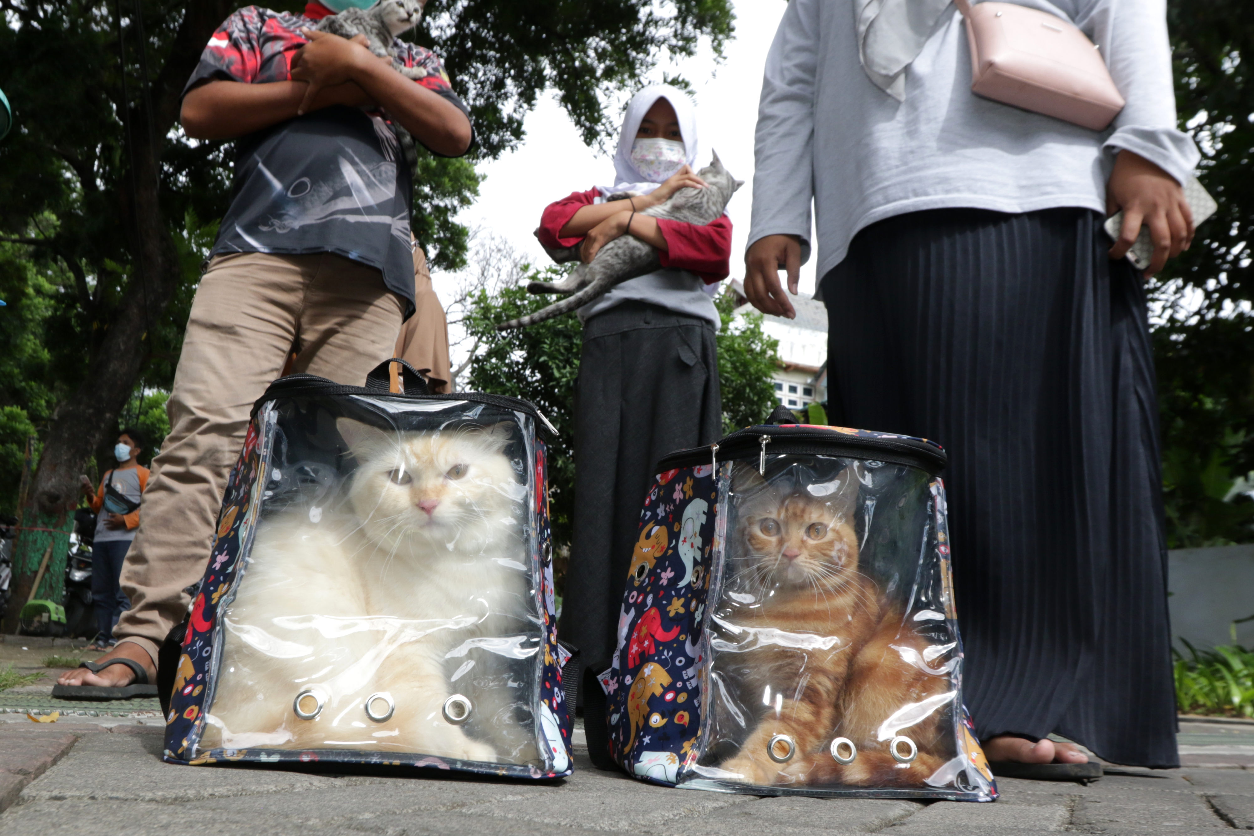 Peringatan Hari Rabies Sedunia di Banyuwangi