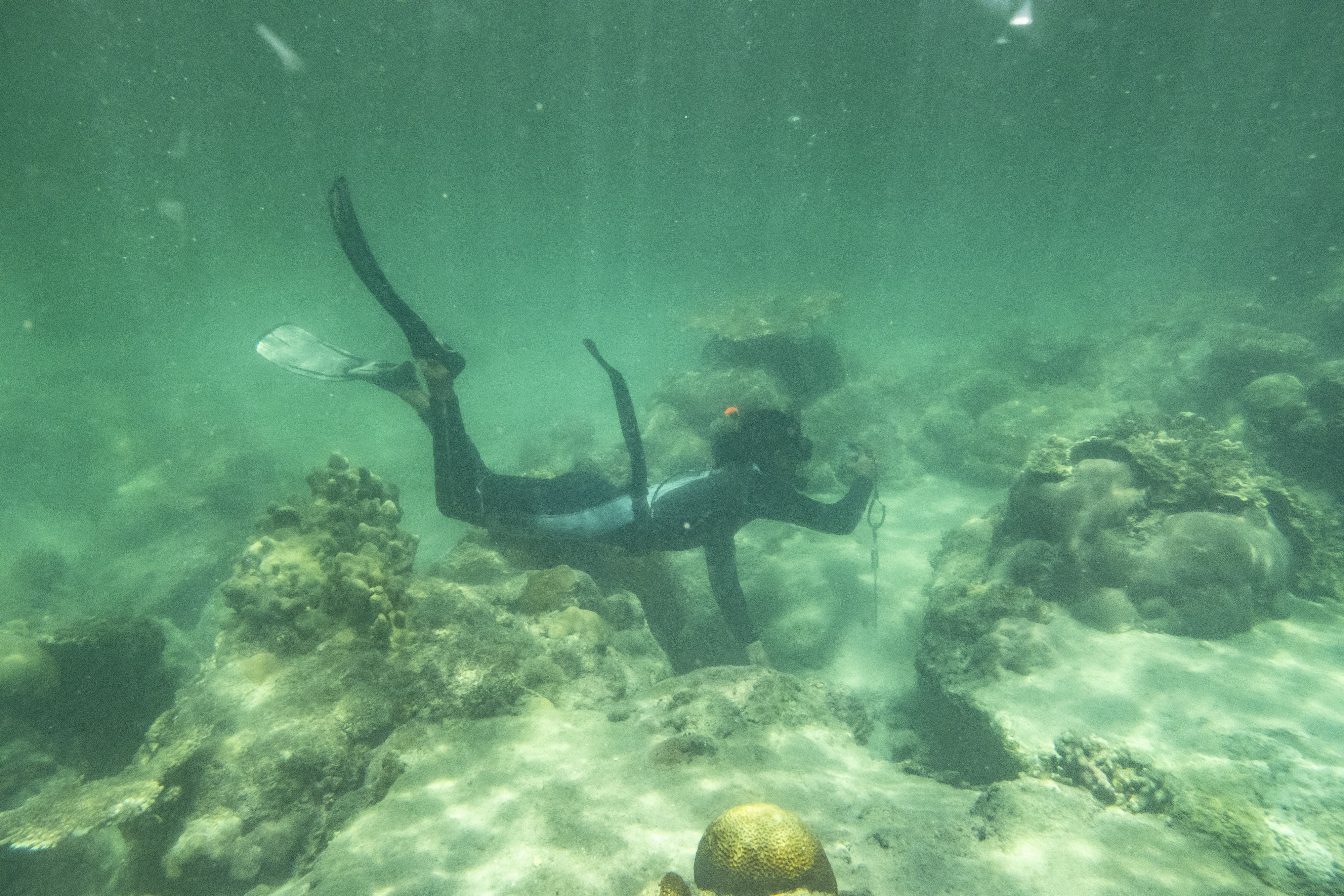 Wisata Bawah Air di Pulau Natuna