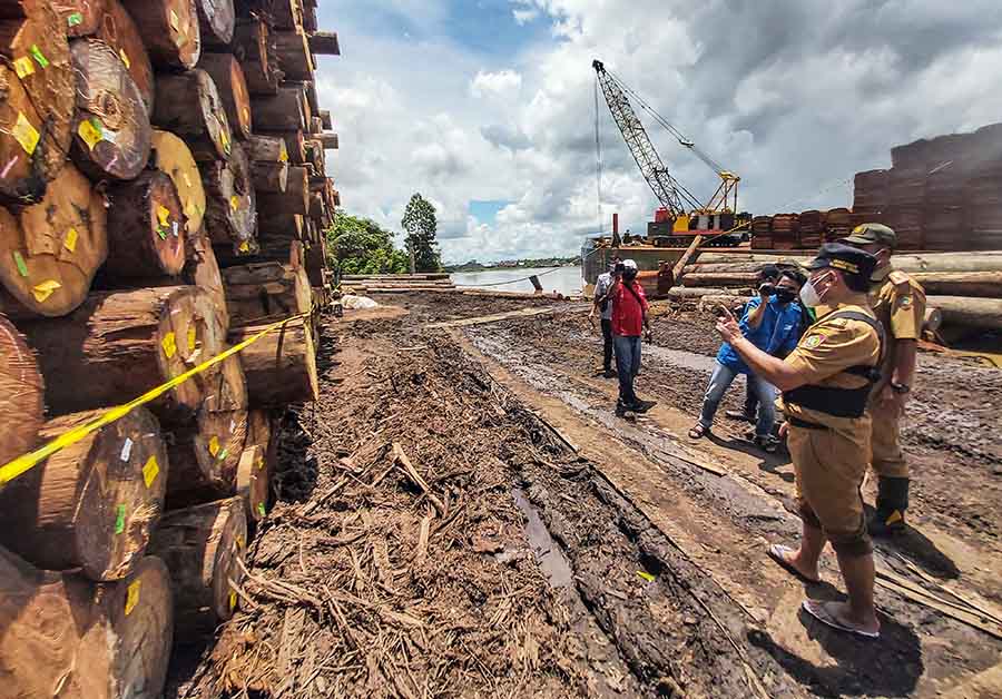 Penyegelan Sementara Ribuan Kayu Log di Kalteng 