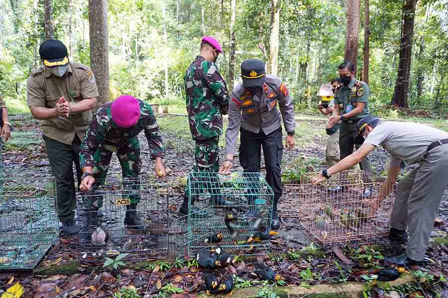 Pelepasliaran Satwa Endemik Papua Hasil Penggagalan Penyelundupan 