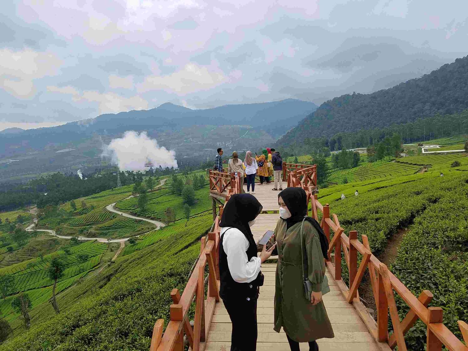 Wisata Alam Kebun Teh Wayang Windu Pengalengan