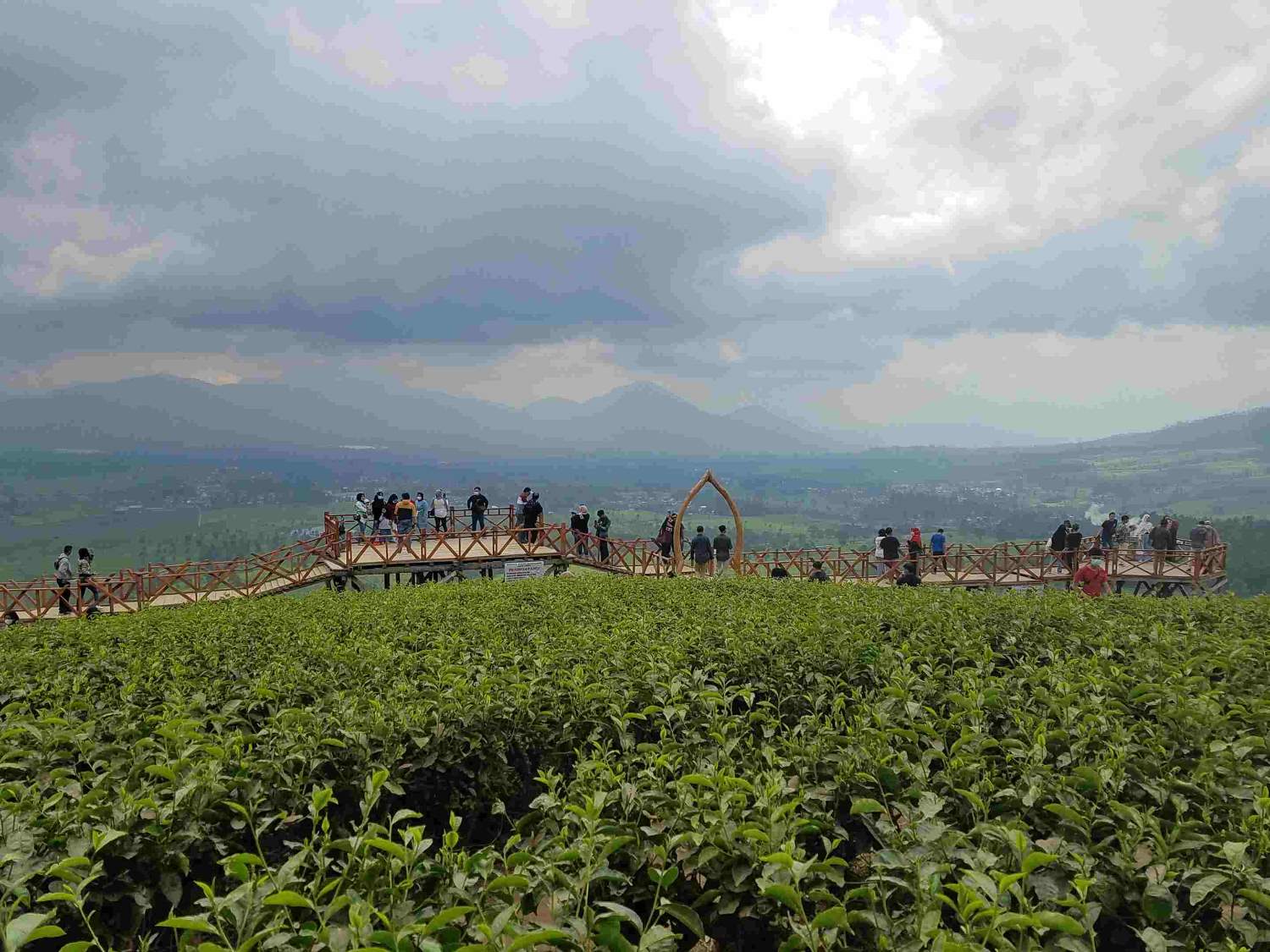 Wisata Alam Kebun Teh Wayang Windu Pengalengan